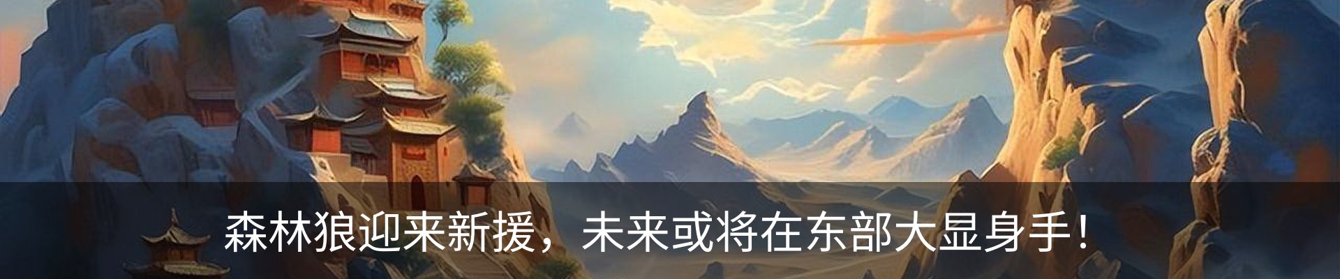 新闻动态
